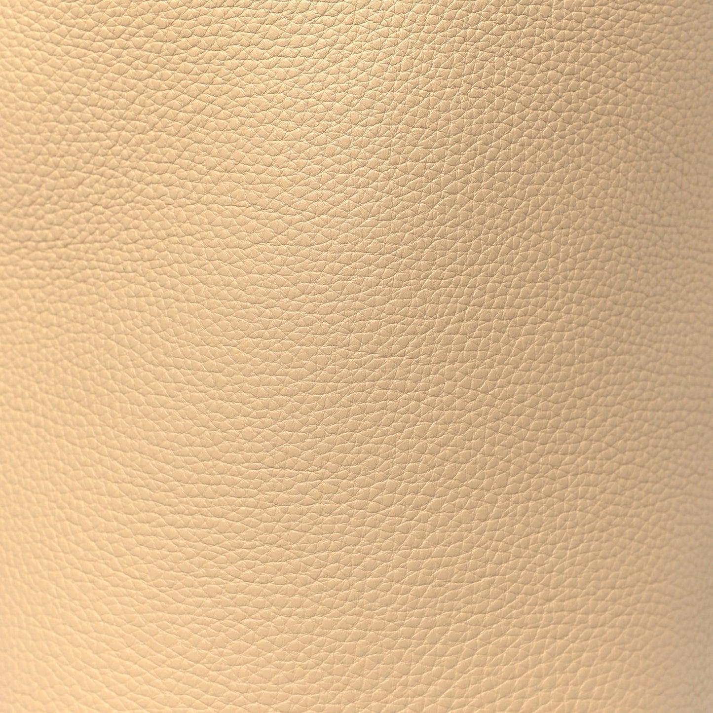 Grained Calfskin Small N/S Park Tote Boulder