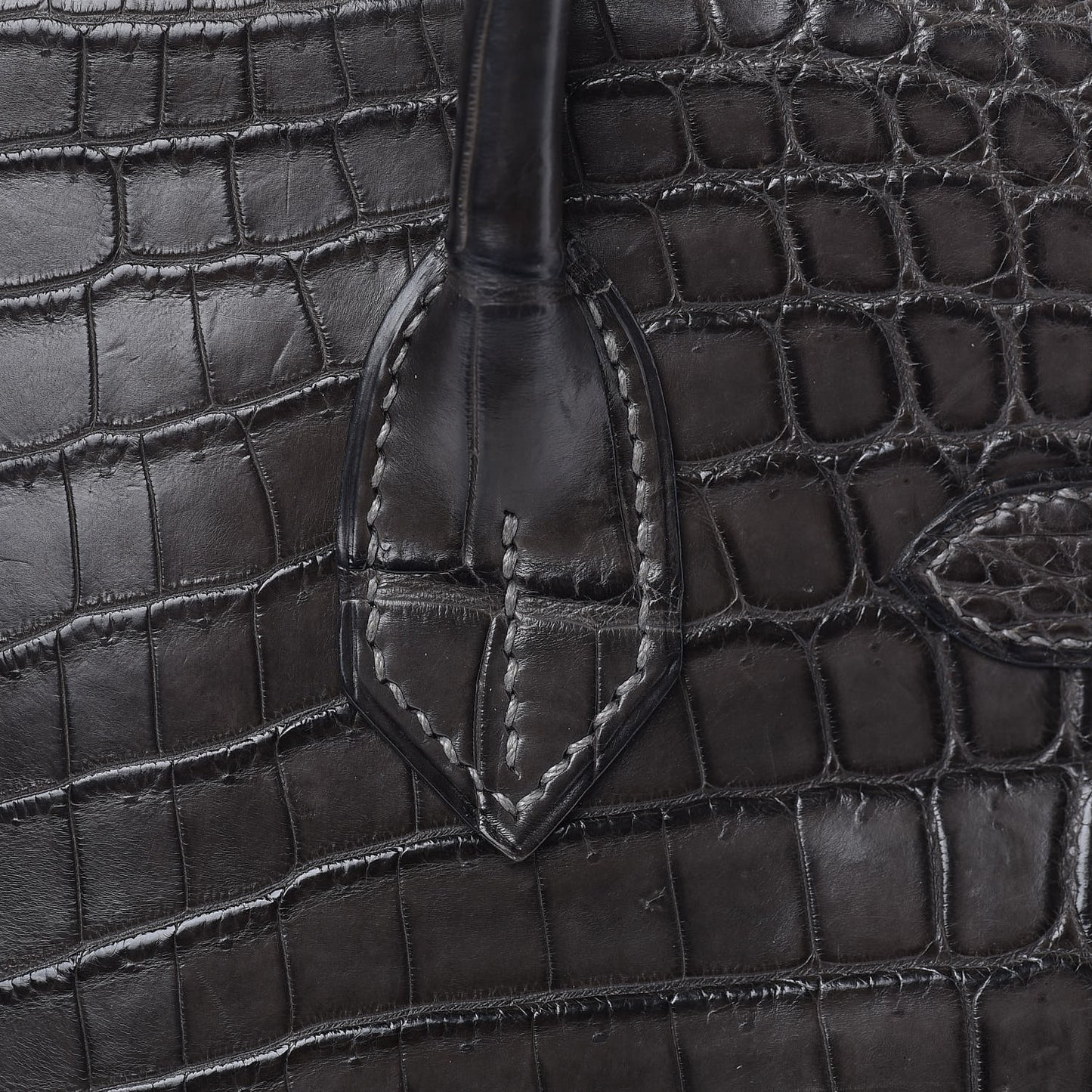 Matte Niloticus Crocodile Birkin 30 Gris Elephant