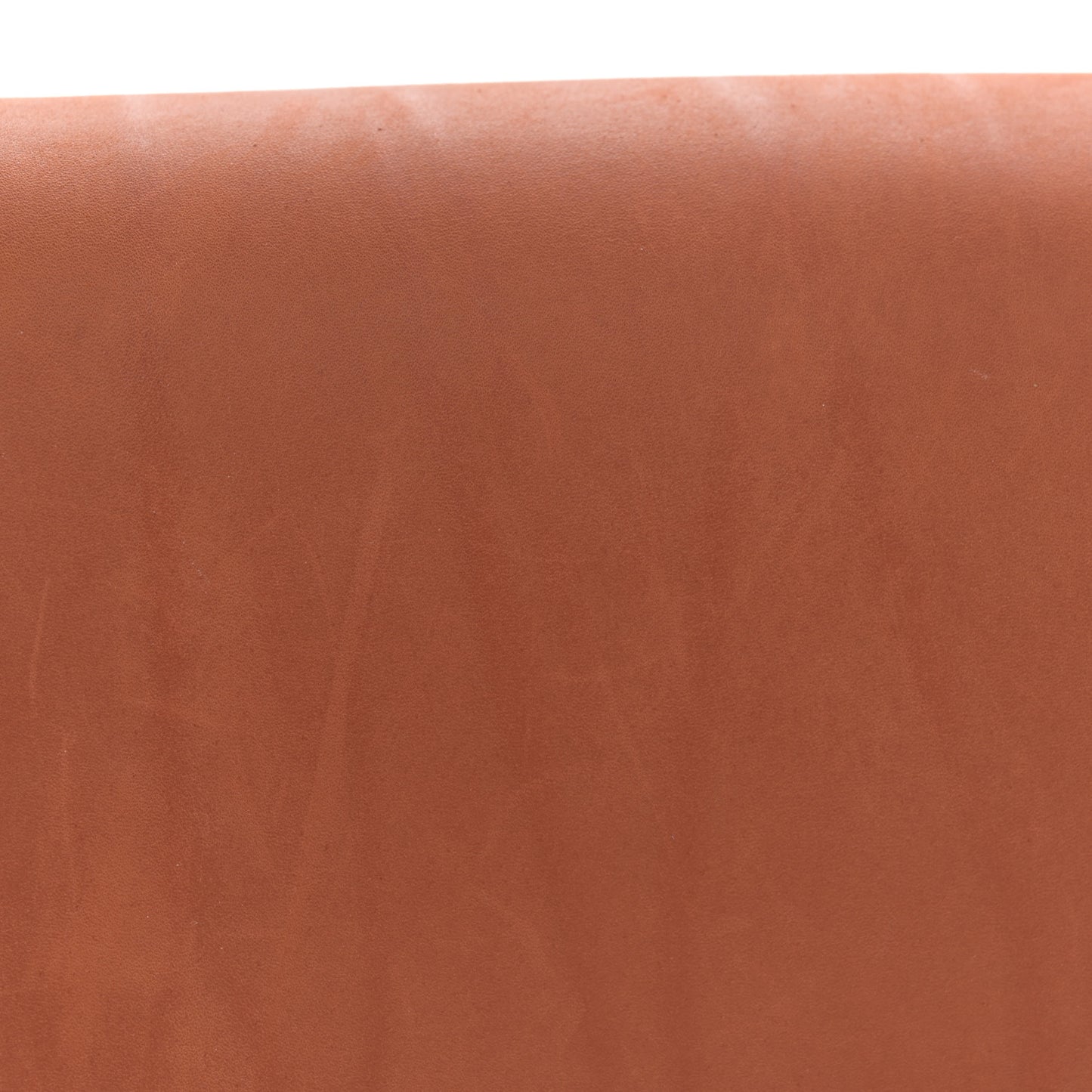Natural Calfskin Medium Triomphe Tan
