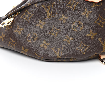 Louis Vuitton Monogram Bumbag 6 of 8