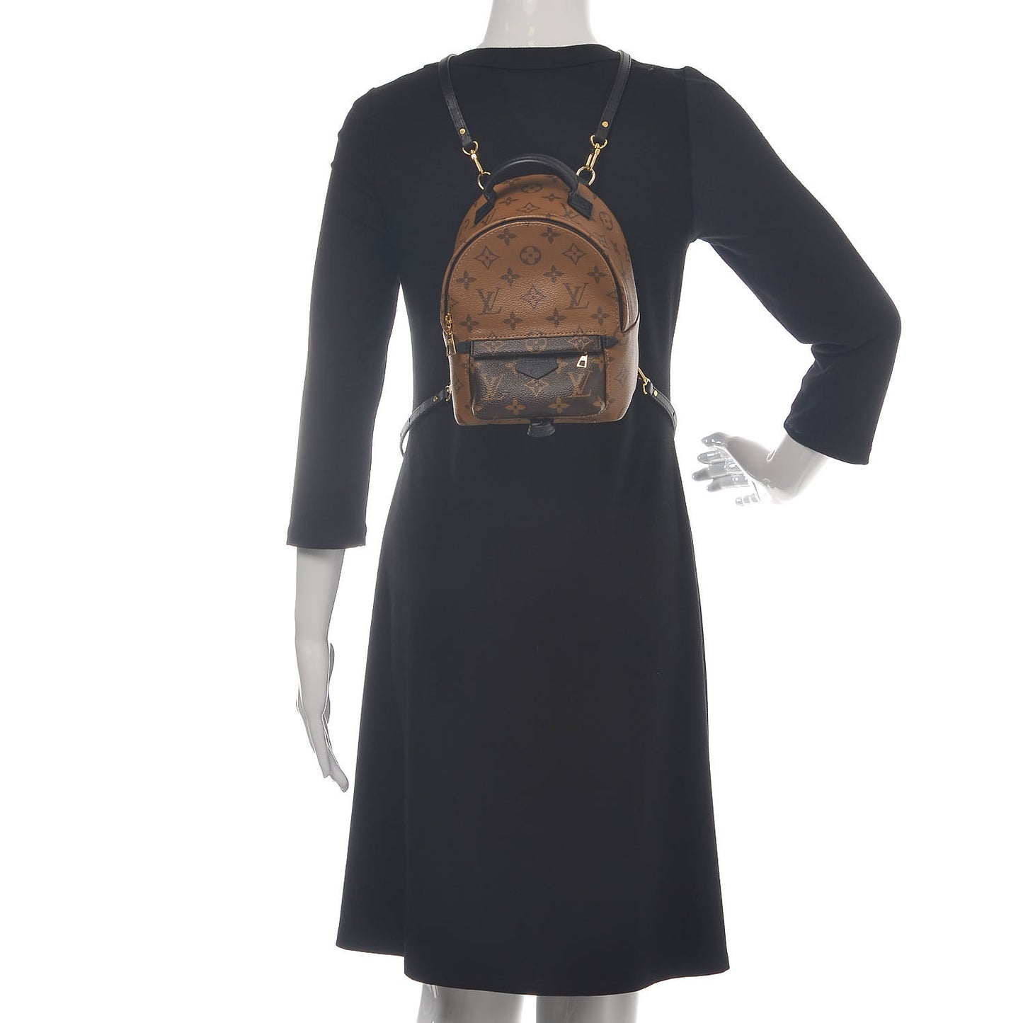 Reverse Monogram Palm Springs Backpack Mini