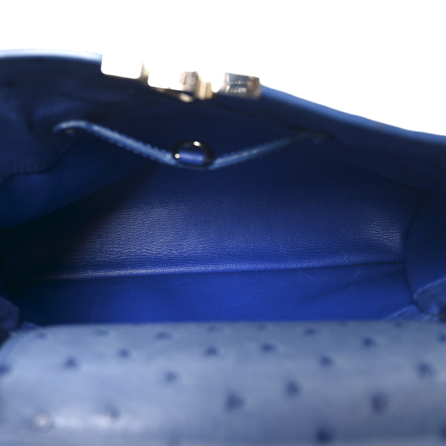 Louis Vuitton Ostrich Capucines MM Saphir 5 of 9