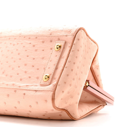 Louis Vuitton Ostrich Frame Speedy Pink 10 of 13