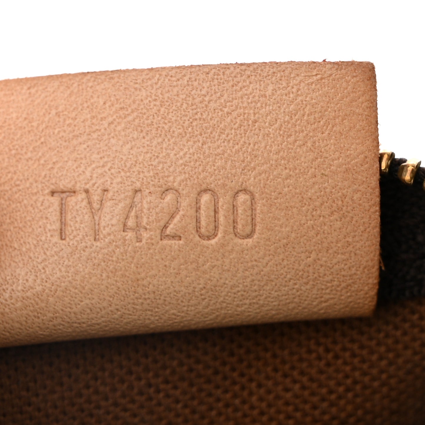 Monogram Nano Speedy