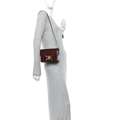 Celine Watersnake Teen Triomphe Brown 2 of 12