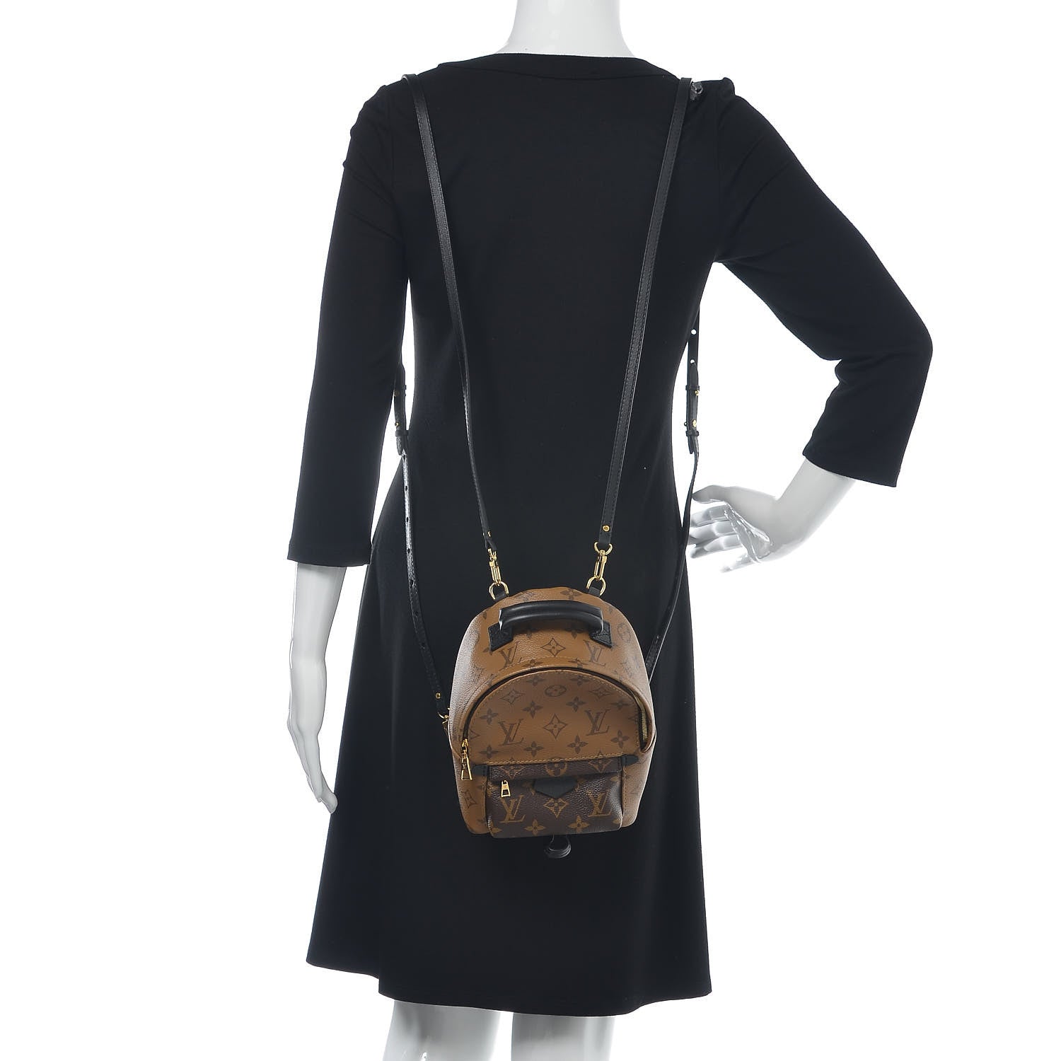 Louis Vuitton Reverse Monogram Palm Springs Backpack Mini 2 of 10