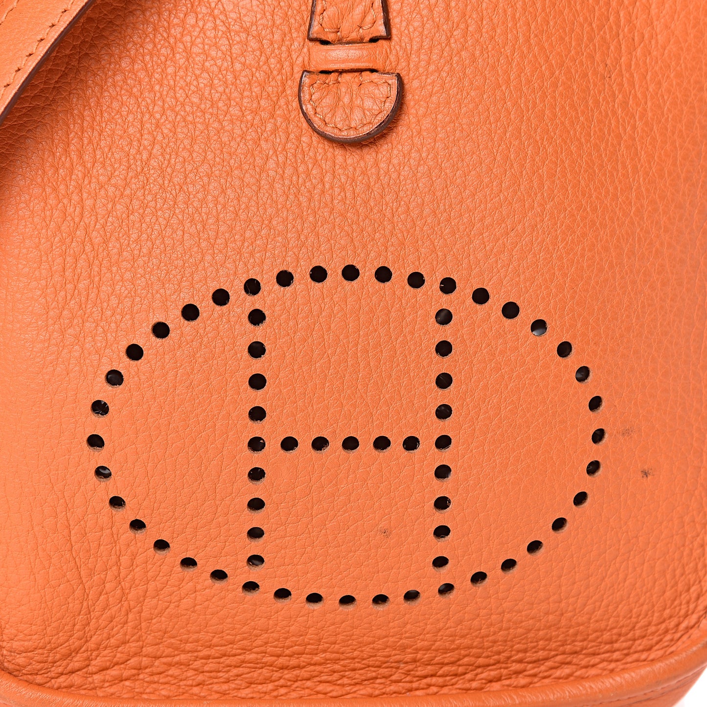 Taurillon Clemence Evelyne TPM Orange