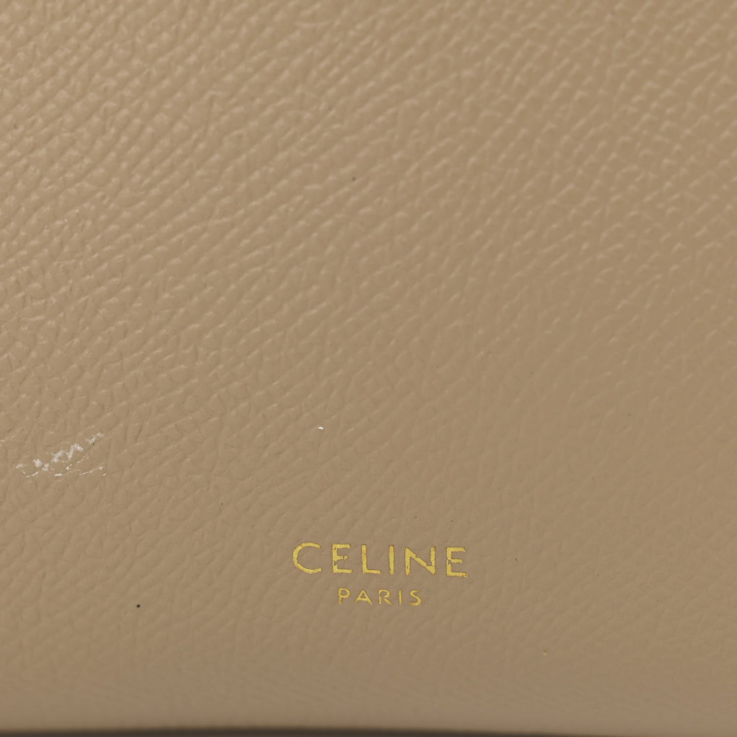 Grained Calfskin Nano Belt Bag Light Taupe