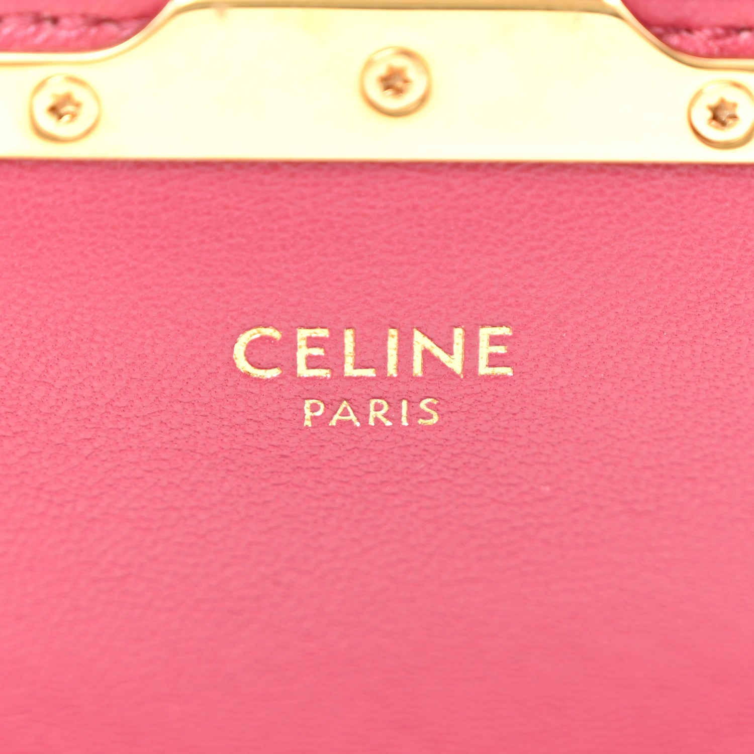 Celine Watersnake Teen Triomphe Ruby 6 of 11