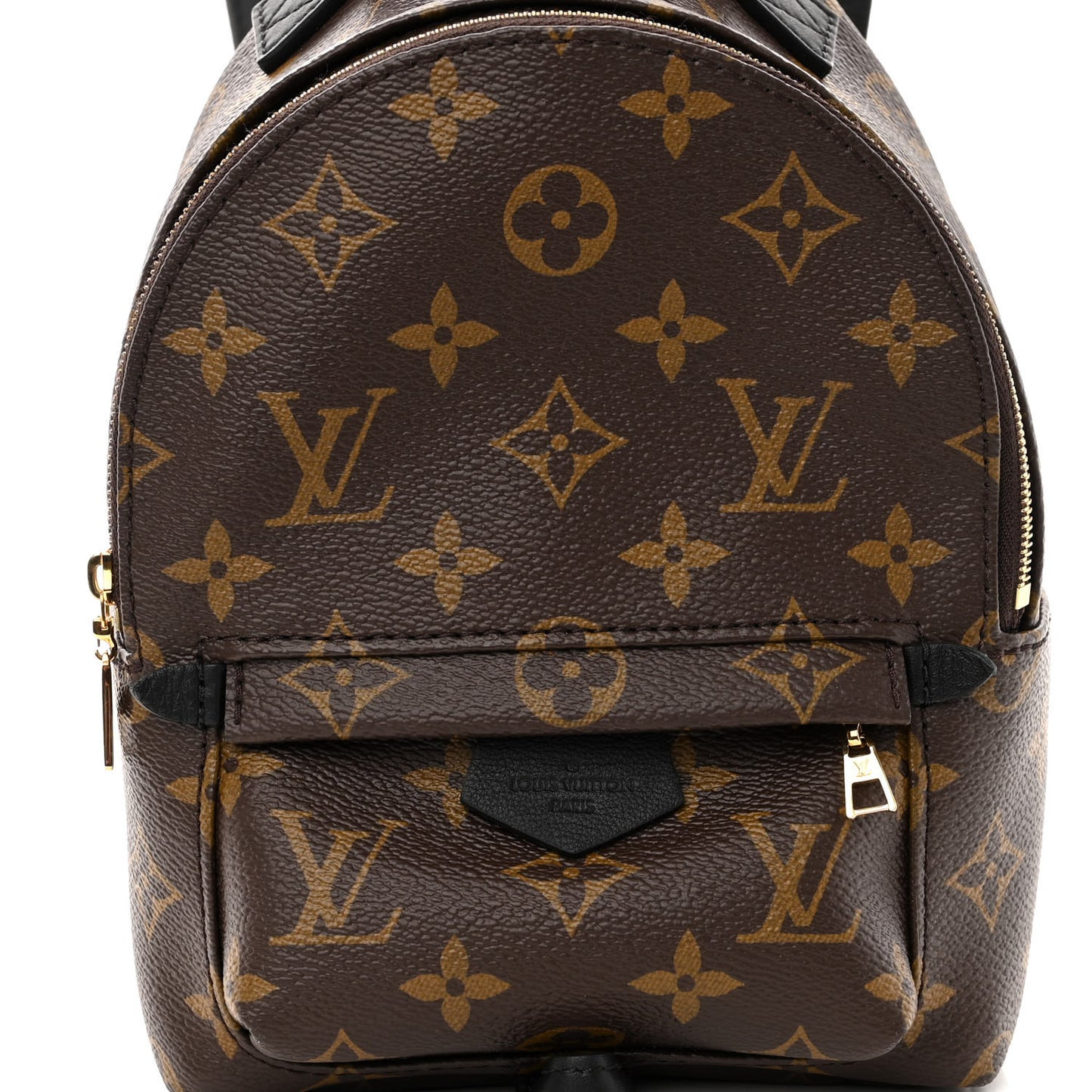 Monogram Palm Springs Backpack Mini