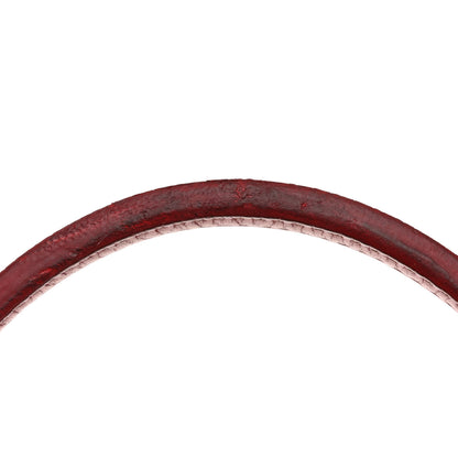 Goyard Goyardine Saint Louis PM Red 13 of 14