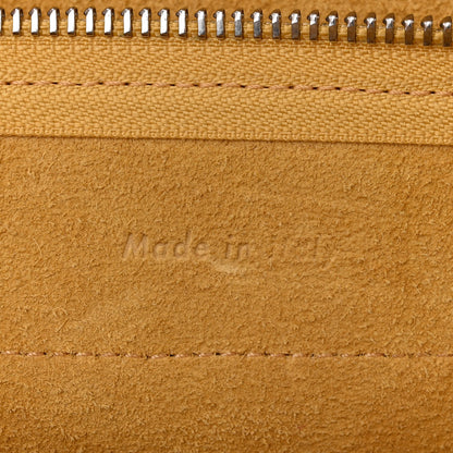 Celine Grained Calfskin Nano Belt Bag Sunflower 6 of 12