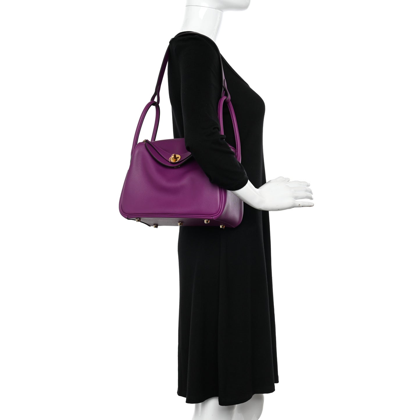 Evercolor Lindy 26 Anemone