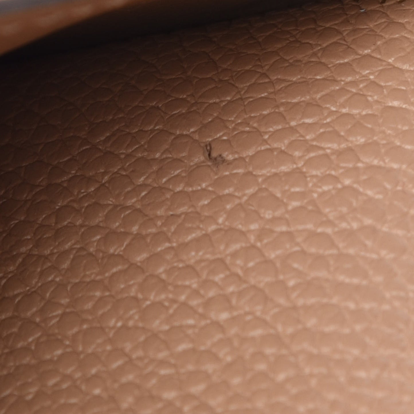 Empreinte Multicartes Papyrus
