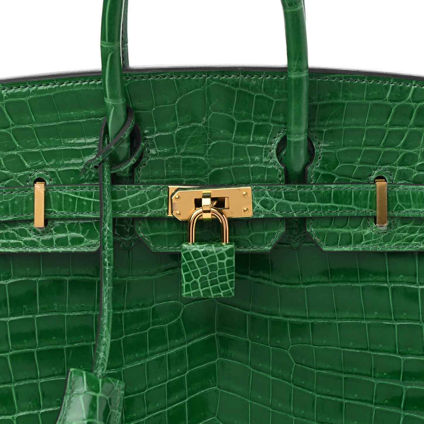 Shiny Niloticus Crocodile Birkin 25 Cactus
