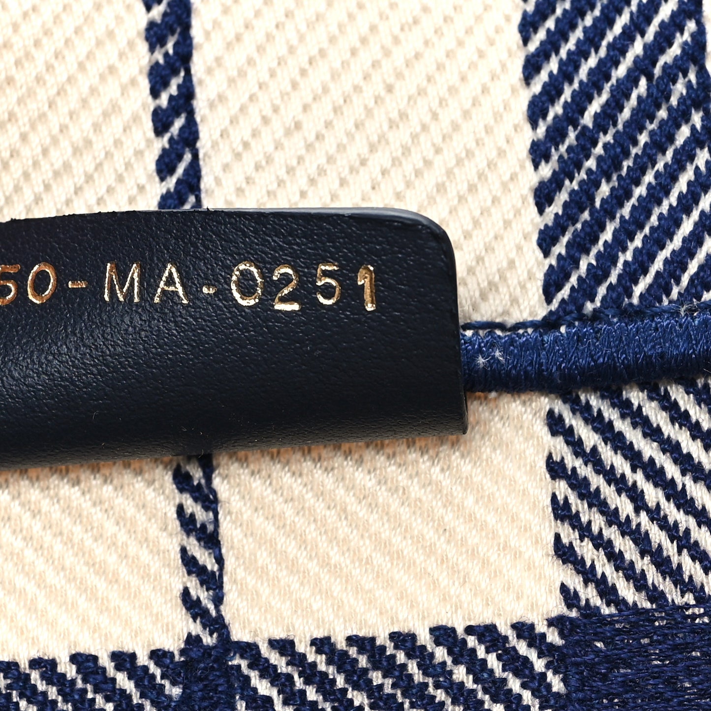 Canvas Embroidered Large Check'n'Dior Book Tote Blue