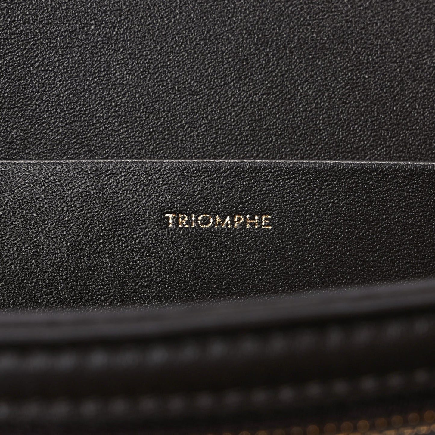 Shiny Calfskin Medium Triomphe Brown