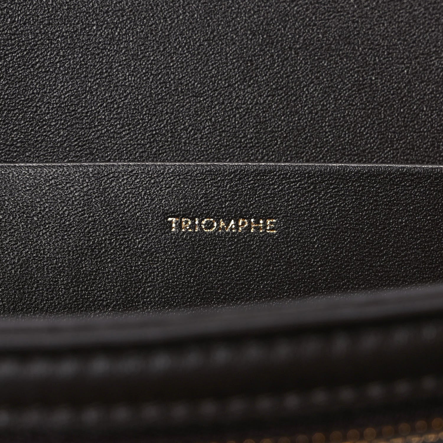 Celine Shiny Calfskin Medium Triomphe Brown 6 of 9