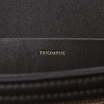 Celine Shiny Calfskin Medium Triomphe Brown 6 of 9