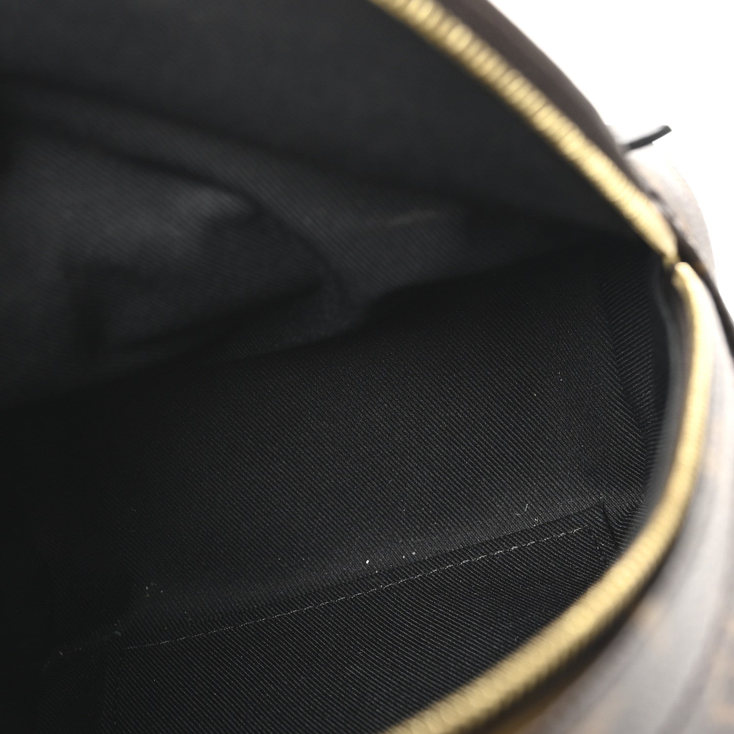 Louis Vuitton Monogram Palm Springs Backpack Mini 5 of 9