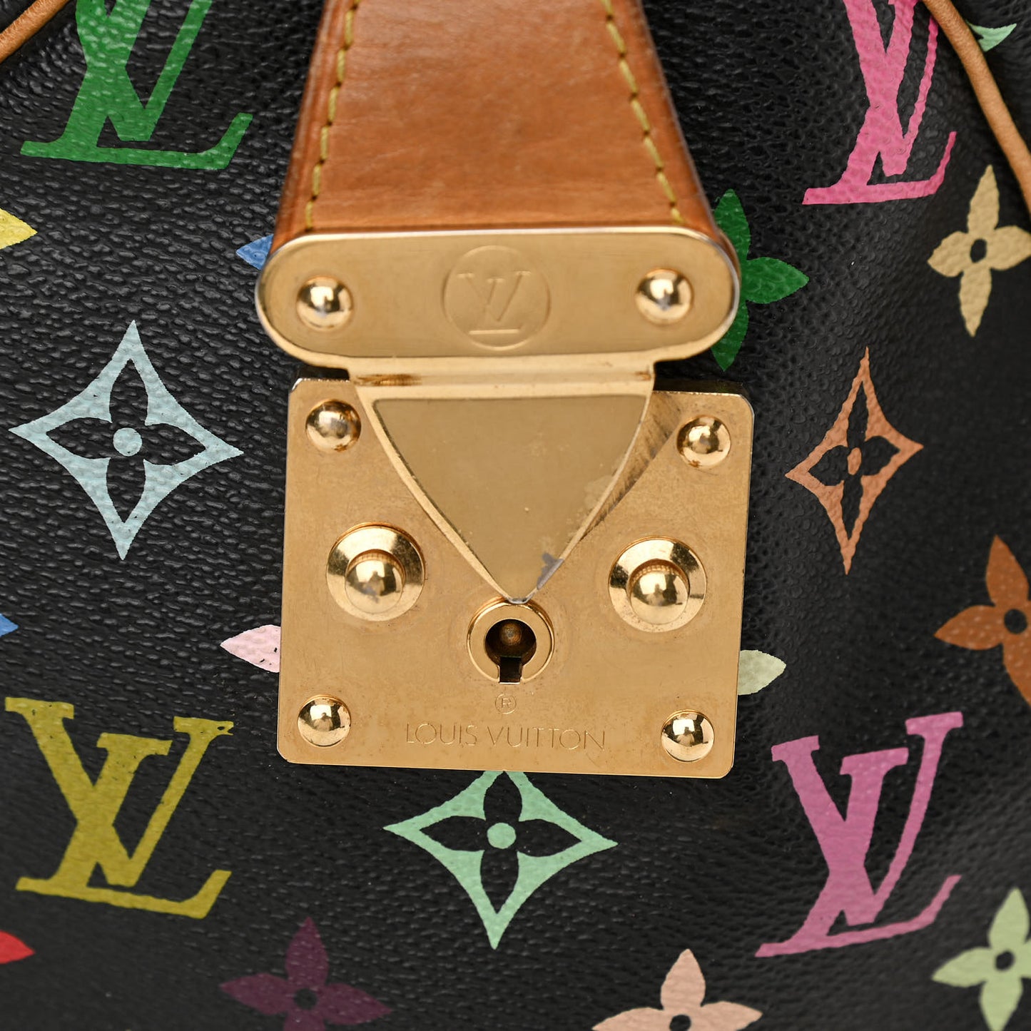 Monogram Multicolor Speedy 30 Black