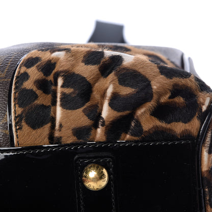 Louis Vuitton Monogram Leopard Adele 13 of 18