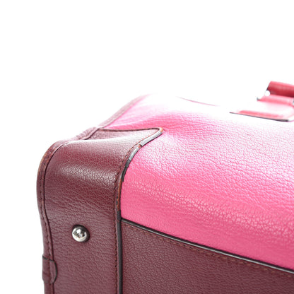 Loewe Goatskin Amazona 28 Pink 15 of 23