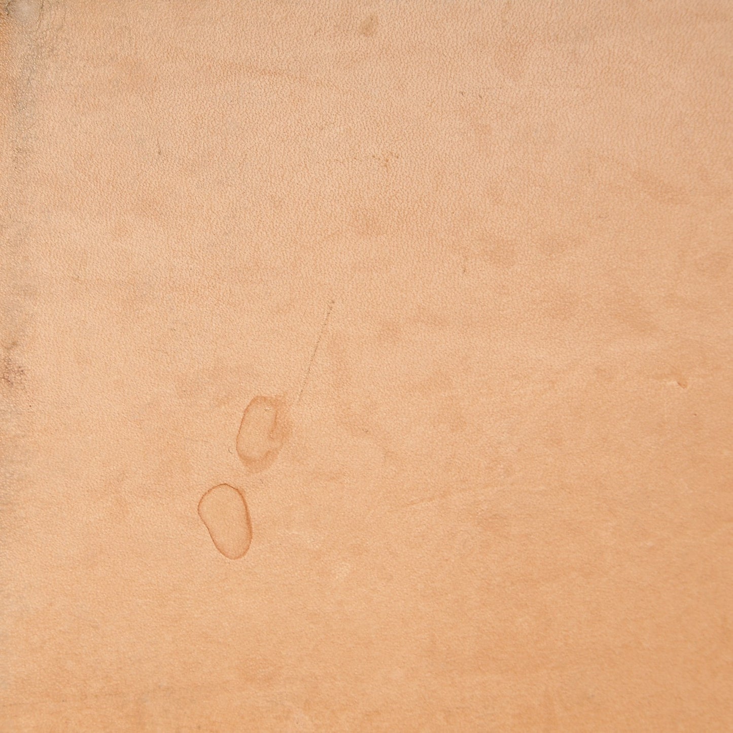 Monogram Cabas Piano