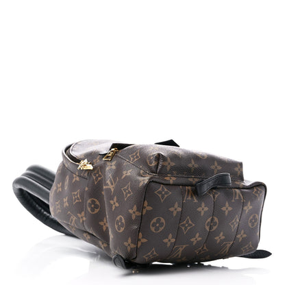 Louis Vuitton Monogram Palm Springs Backpack PM 4 of 14