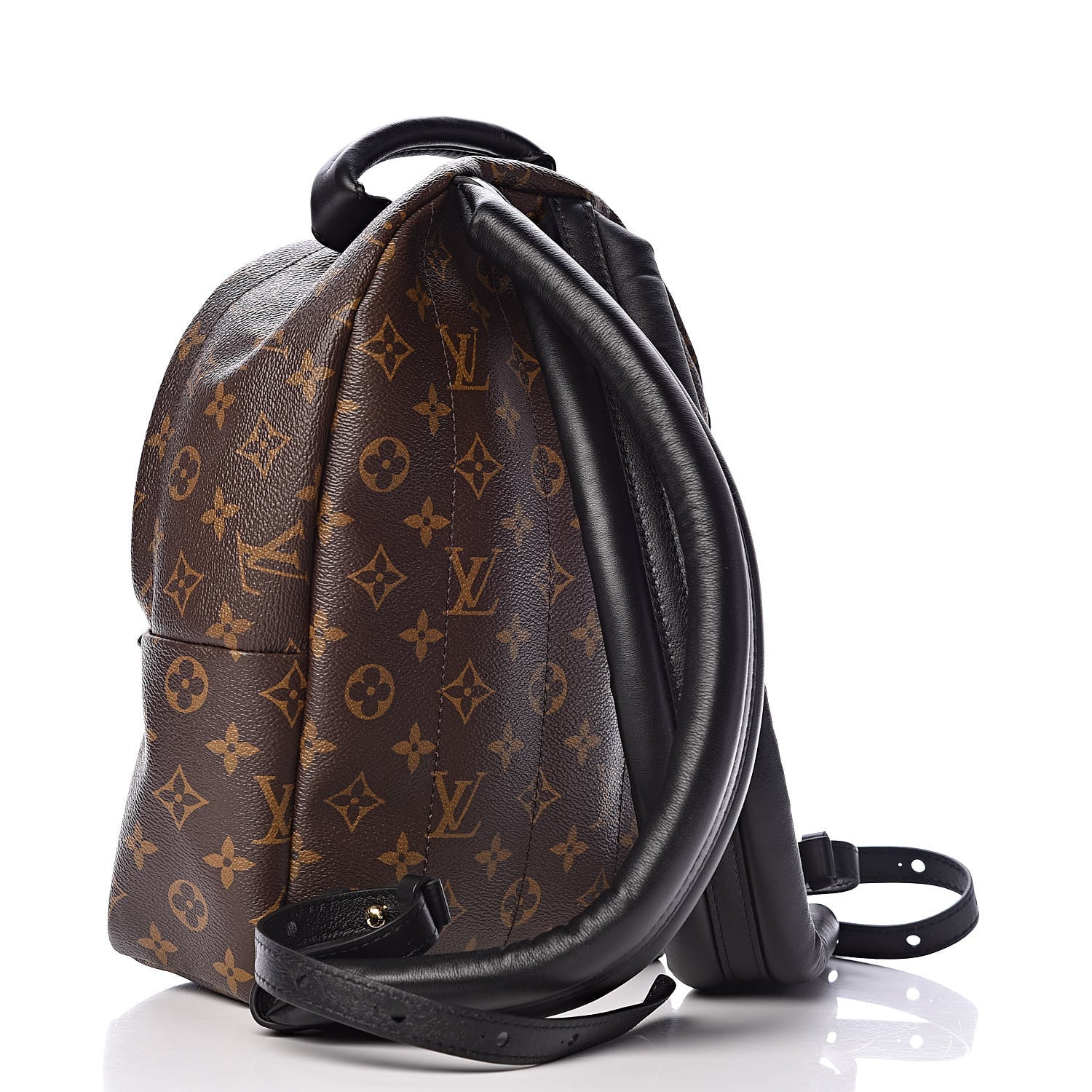 Louis Vuitton Reverse Monogram Palm Springs Backpack PM 3 of 11