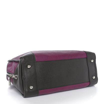 Loewe Calfskin Amazona 36 Purple 4 of 9