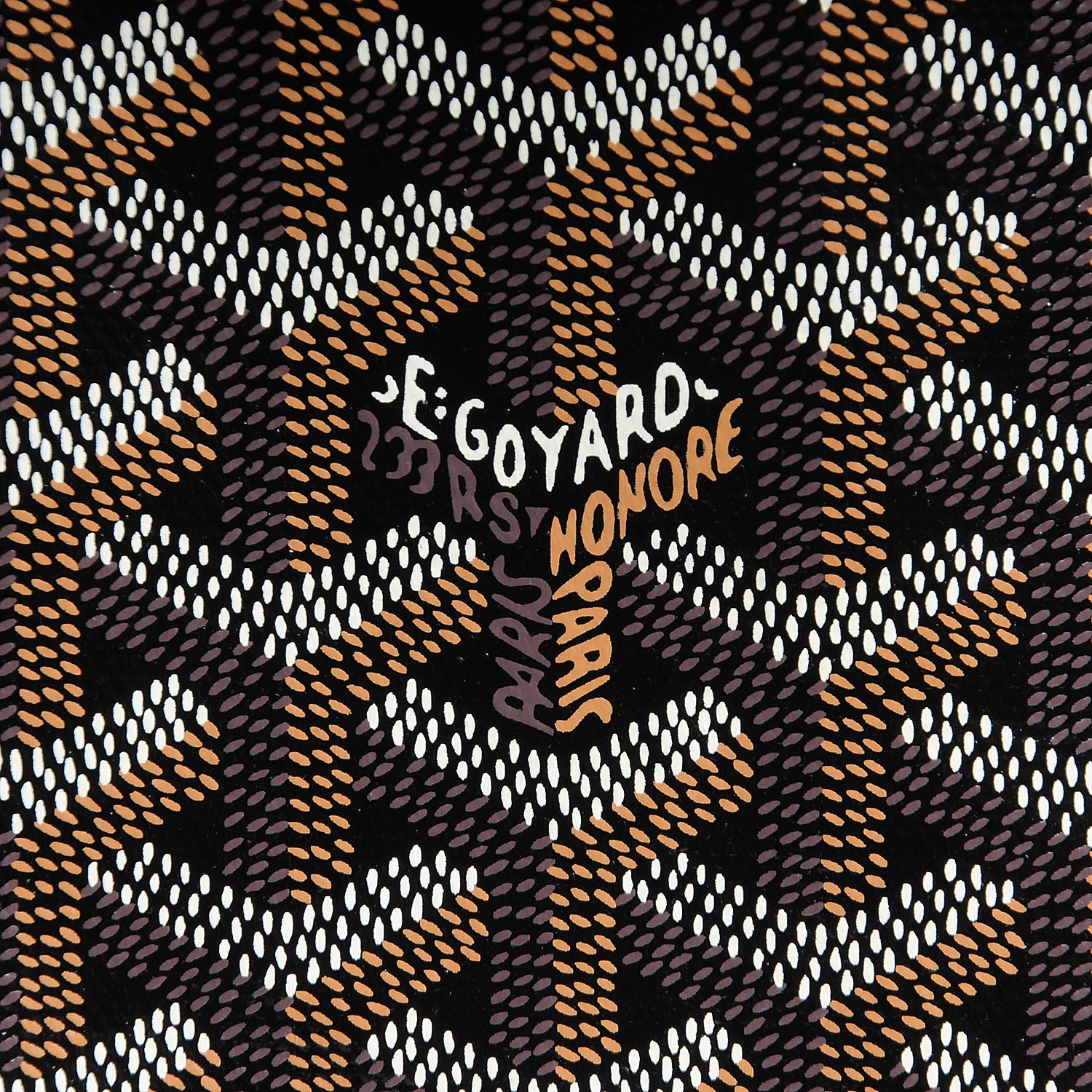 Goyard Goyardine Saint Louis PM Black 8 of 8