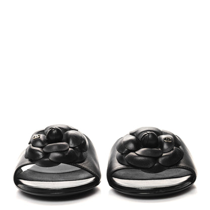 Chanel Lambskin Camellia CC Slides 40 Black 2 of 8