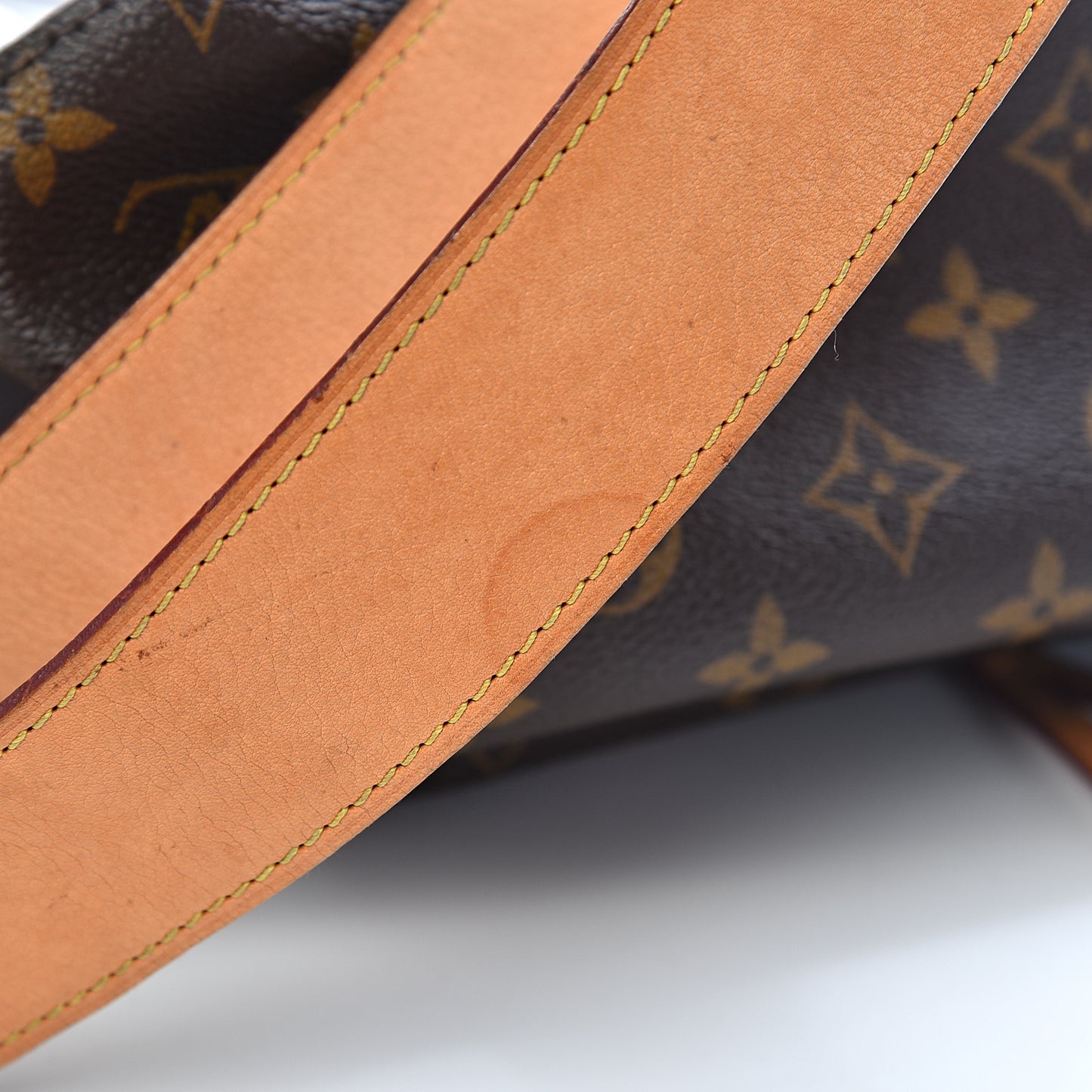Monogram Cindy Sherman Camera Messenger