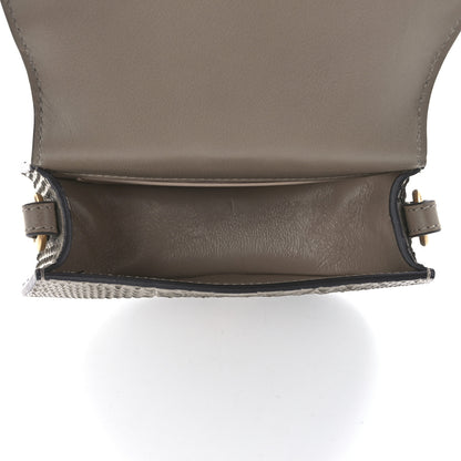 Chloe Python Small Nile Bracelet Bag Motty Grey 5 of 13