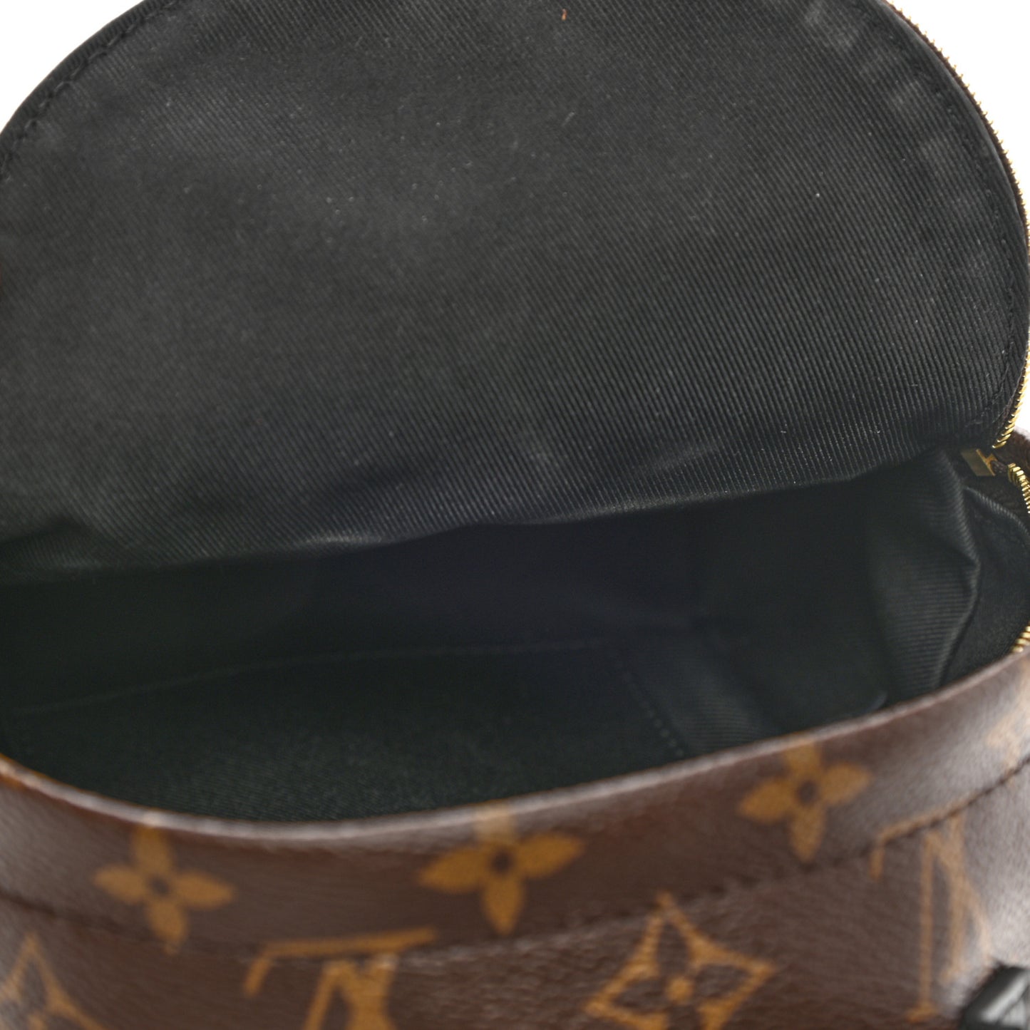 Monogram Palm Springs Backpack Mini