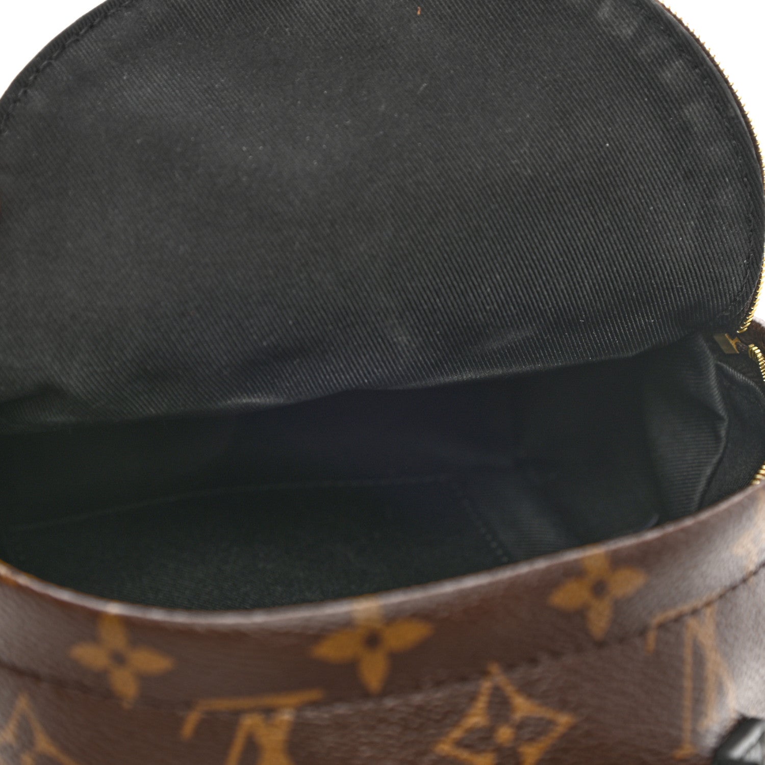 Louis Vuitton Monogram Palm Springs Backpack Mini 5 of 11