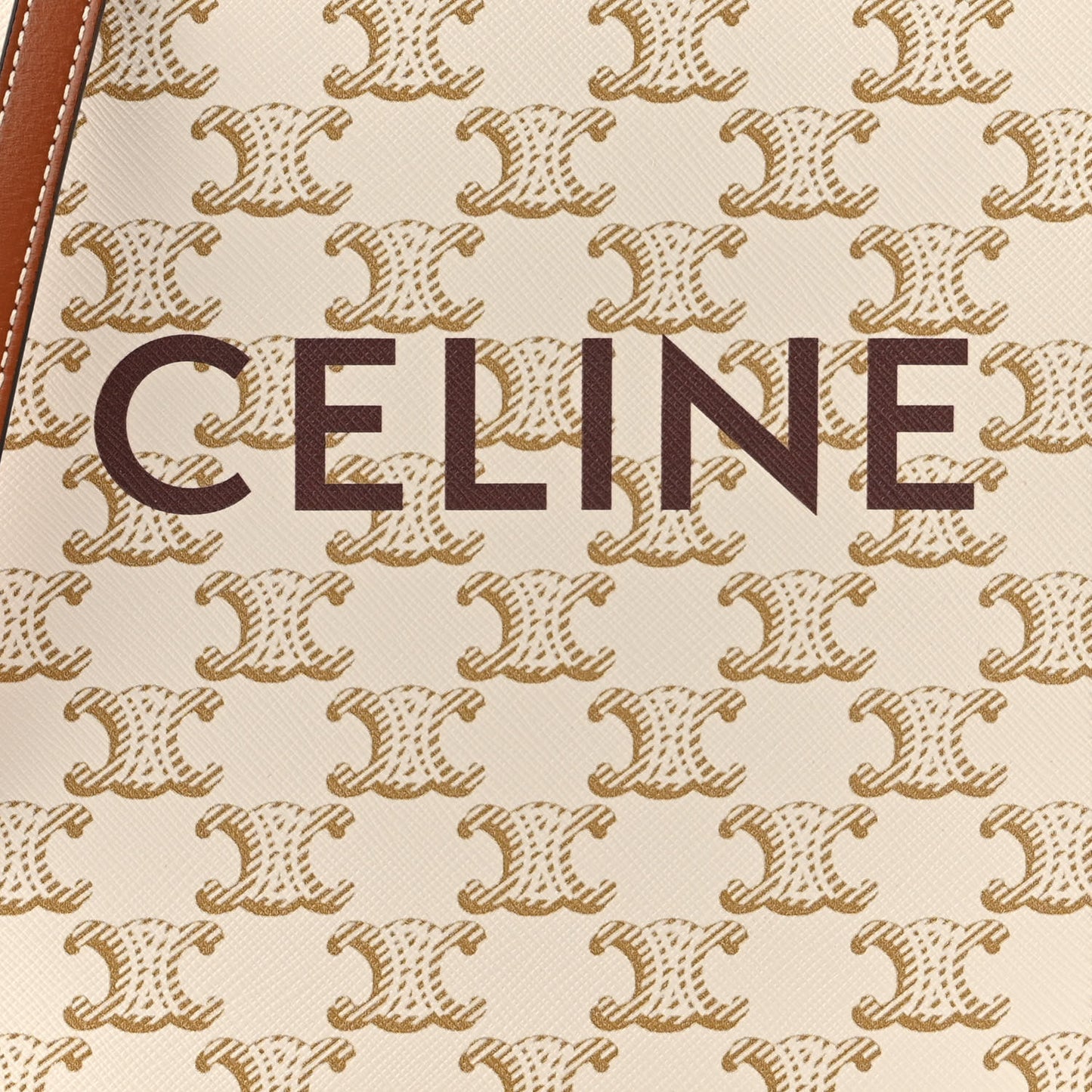 Triomphe Canvas Calfskin Mini Vertical Cabas White
