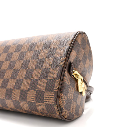 Louis Vuitton Damier Ebene Ribera Mini 10 of 10