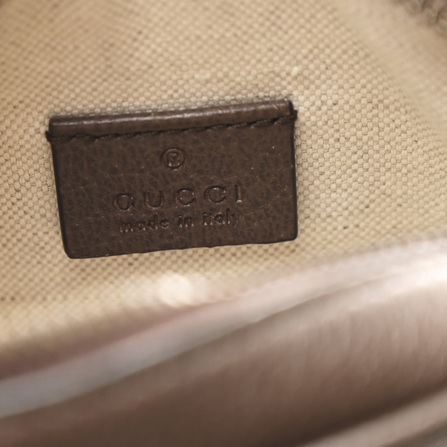 GG Supreme Monogram Web Mini Ophidia Messenger Brown