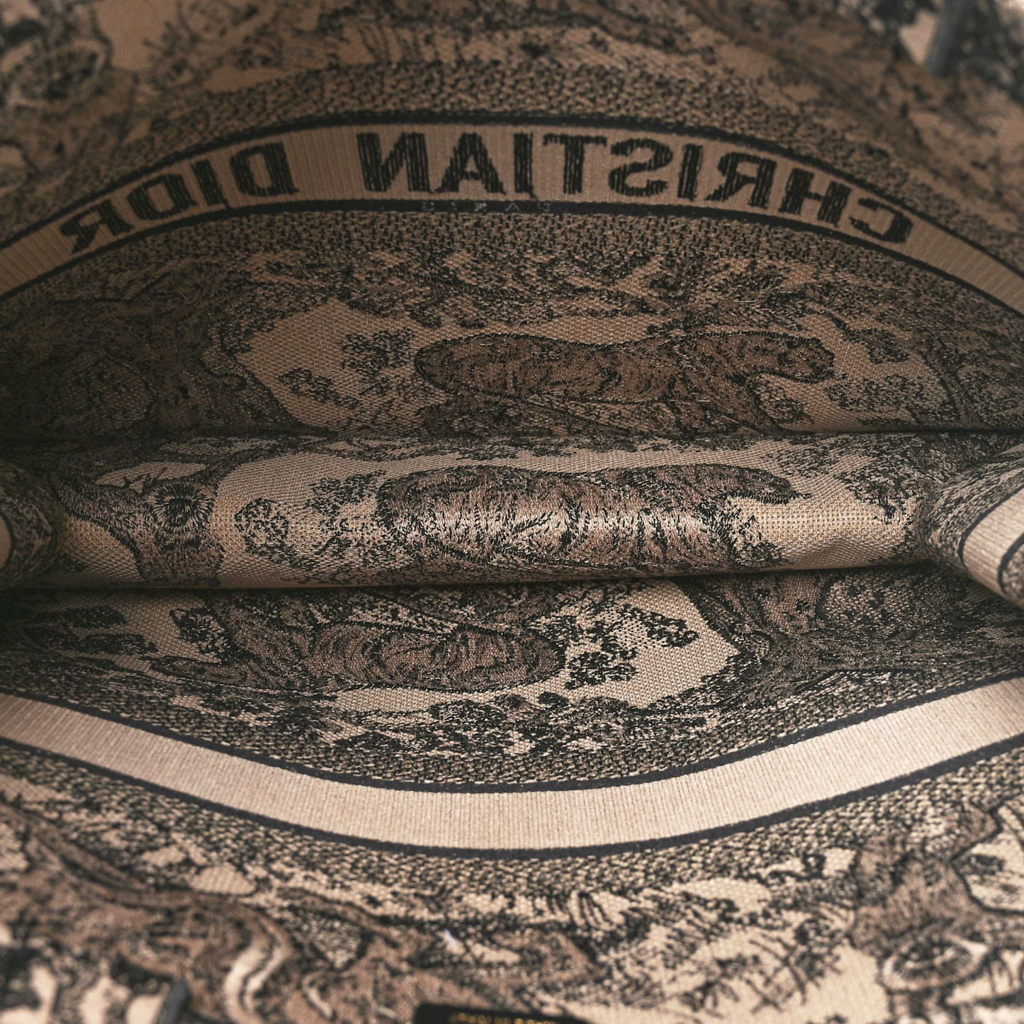 Canvas Embroidered Large Dioriviera Toile De Jouy Book Tote Brown