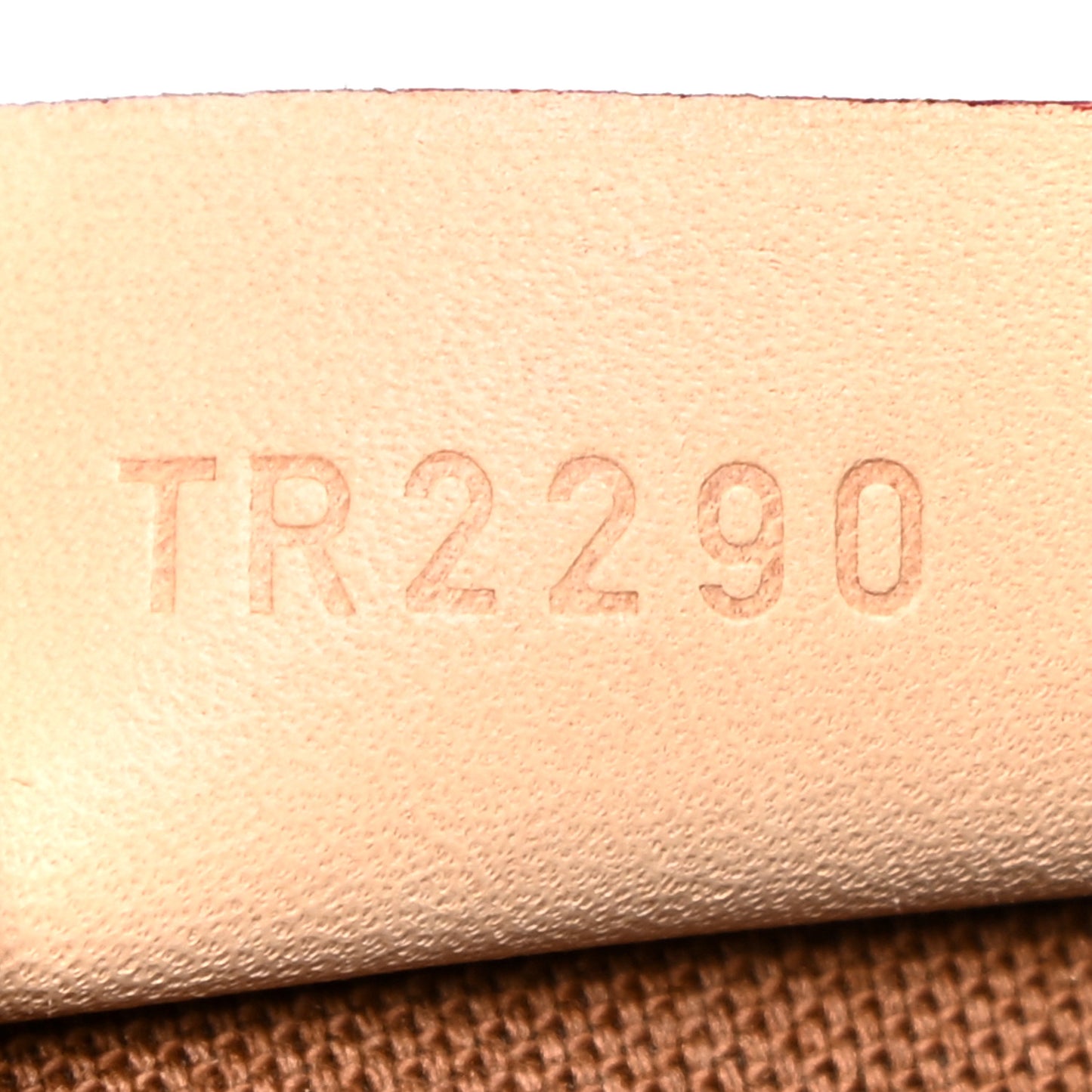Monogram Nano Speedy