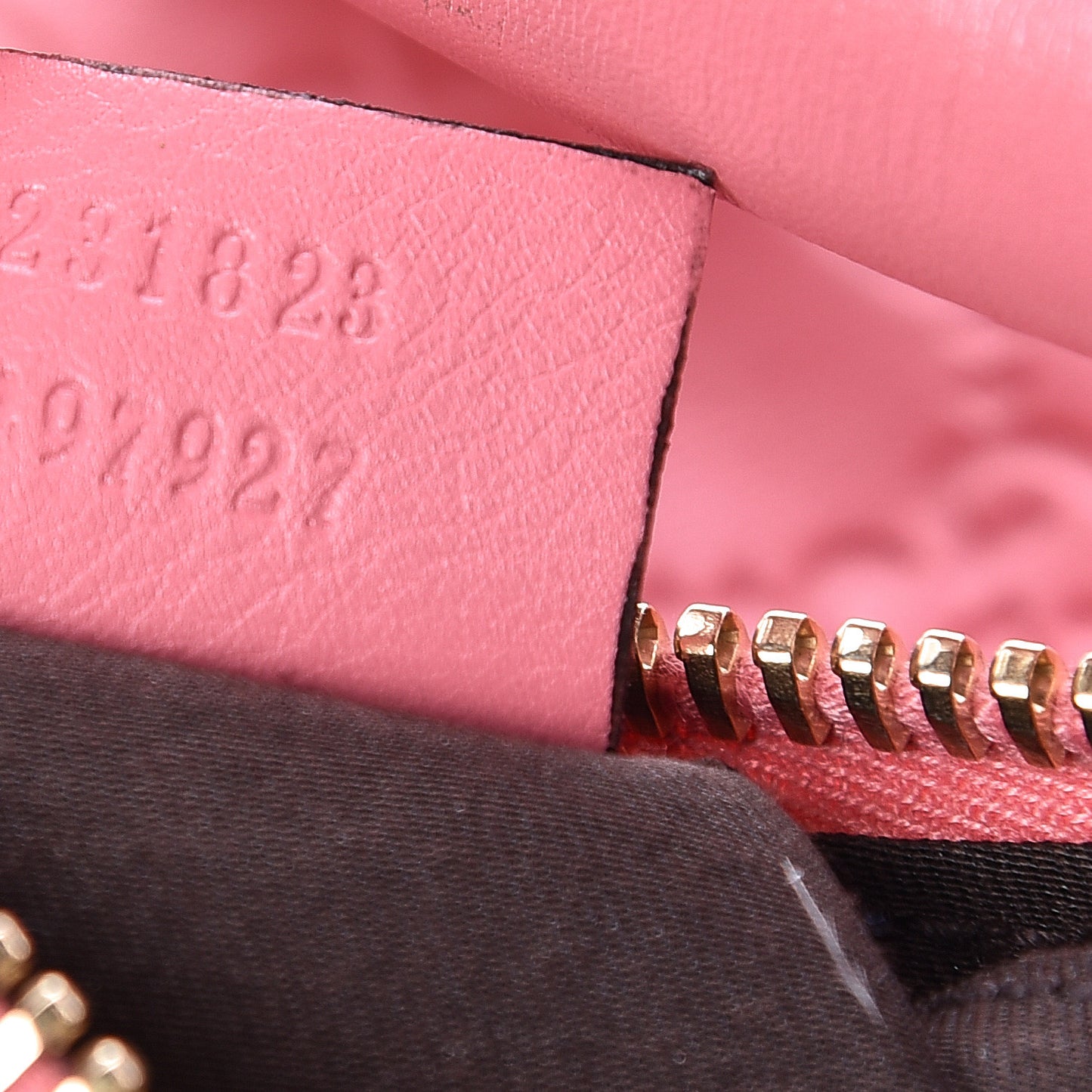Guccissima Half Moon Hobo Sushi Pink