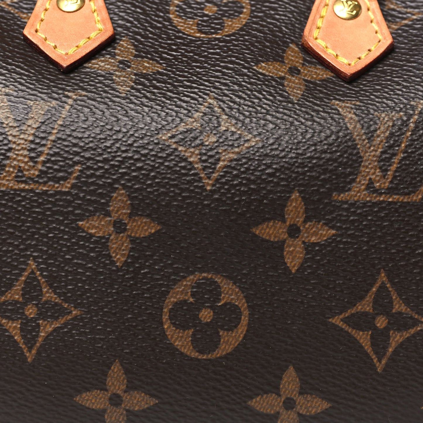 Monogram Nano Speedy