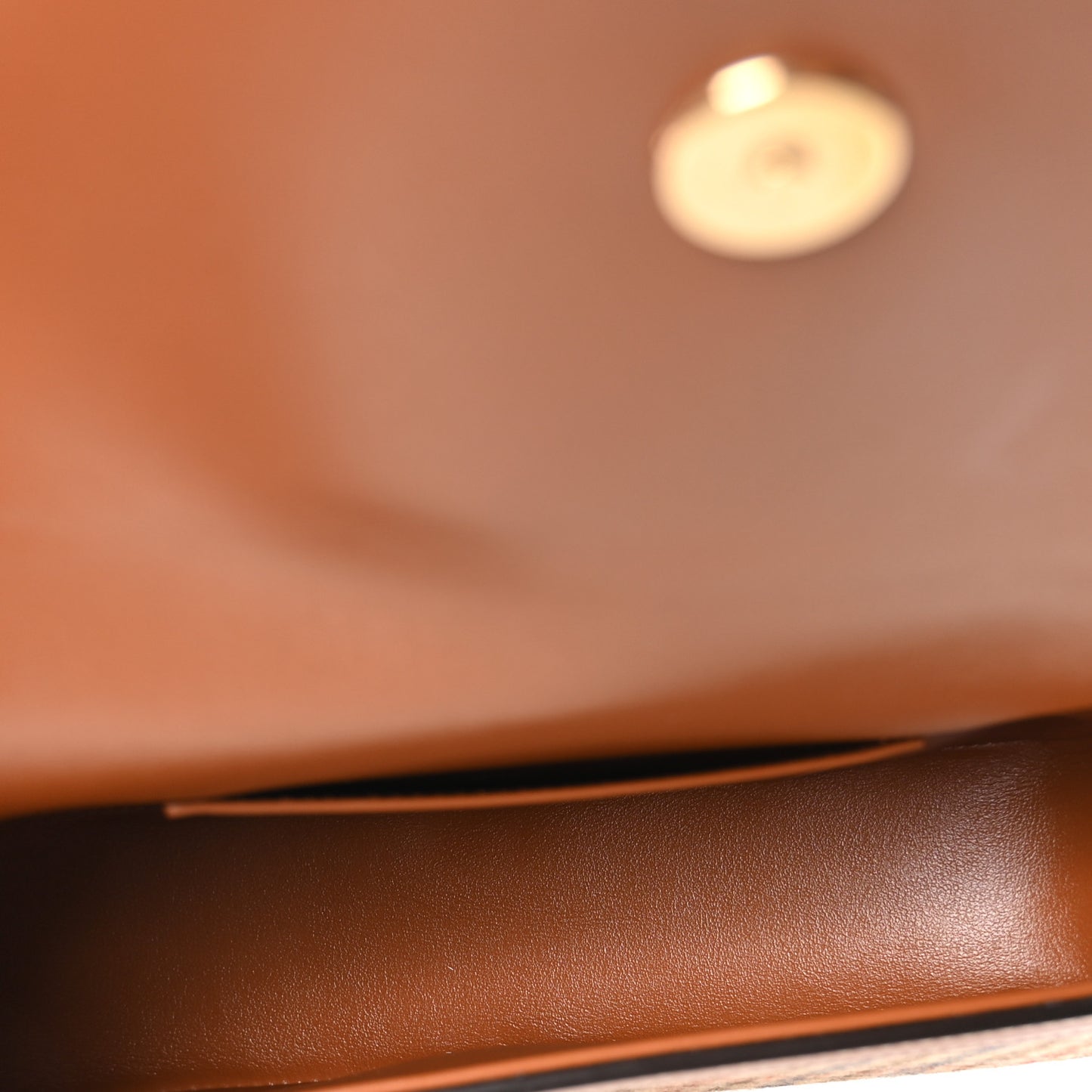 Tweed Calfskin Tabou Clutch on Strap Multicolor