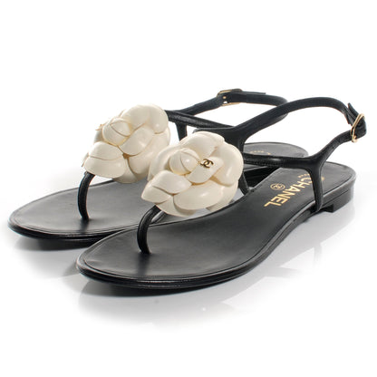 Chanel Lambskin Camellia Thong Sandals 37.5 Black White 3 of 6