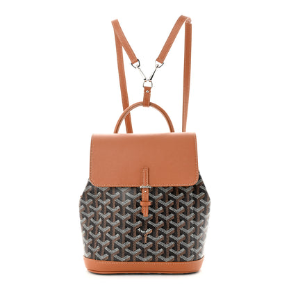 Goyard Goyardine Calfskin Mini Alpin Backpack Black Gold 1 of 9
