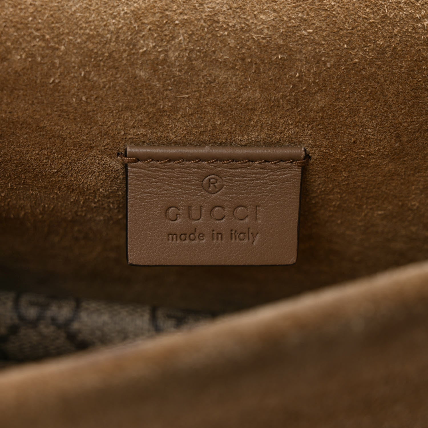 Gucci GG Supreme Monogram Suede Crystal Small Dionysus Shoulder Bag Beige Ebony Taupe 6 of 11