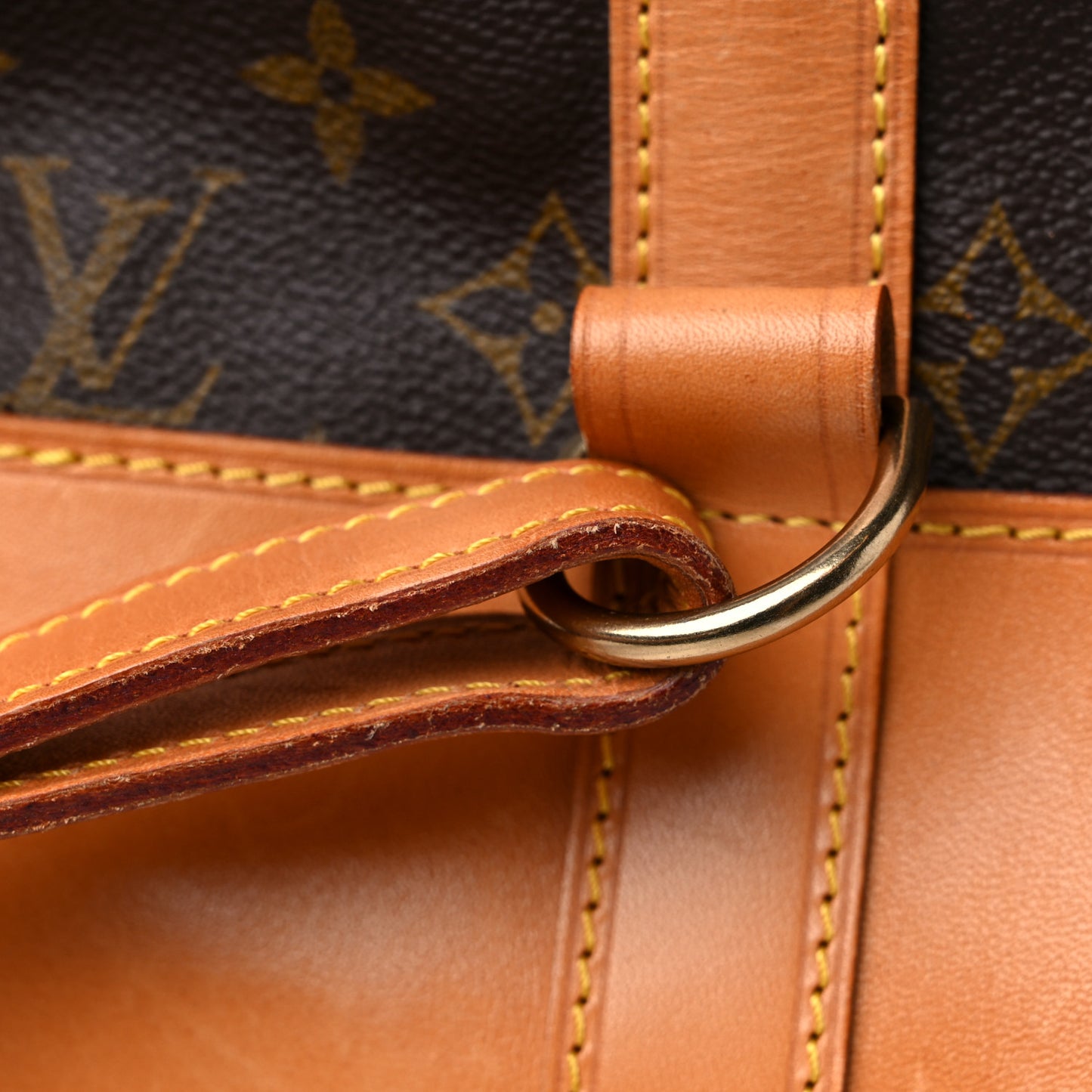 Monogram Randonnee GM Backpack