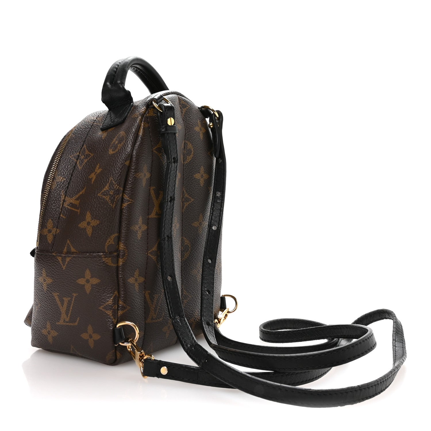 Louis Vuitton Monogram Palm Springs Backpack Mini 5 of 23